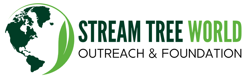 STREAM TREE WORLD